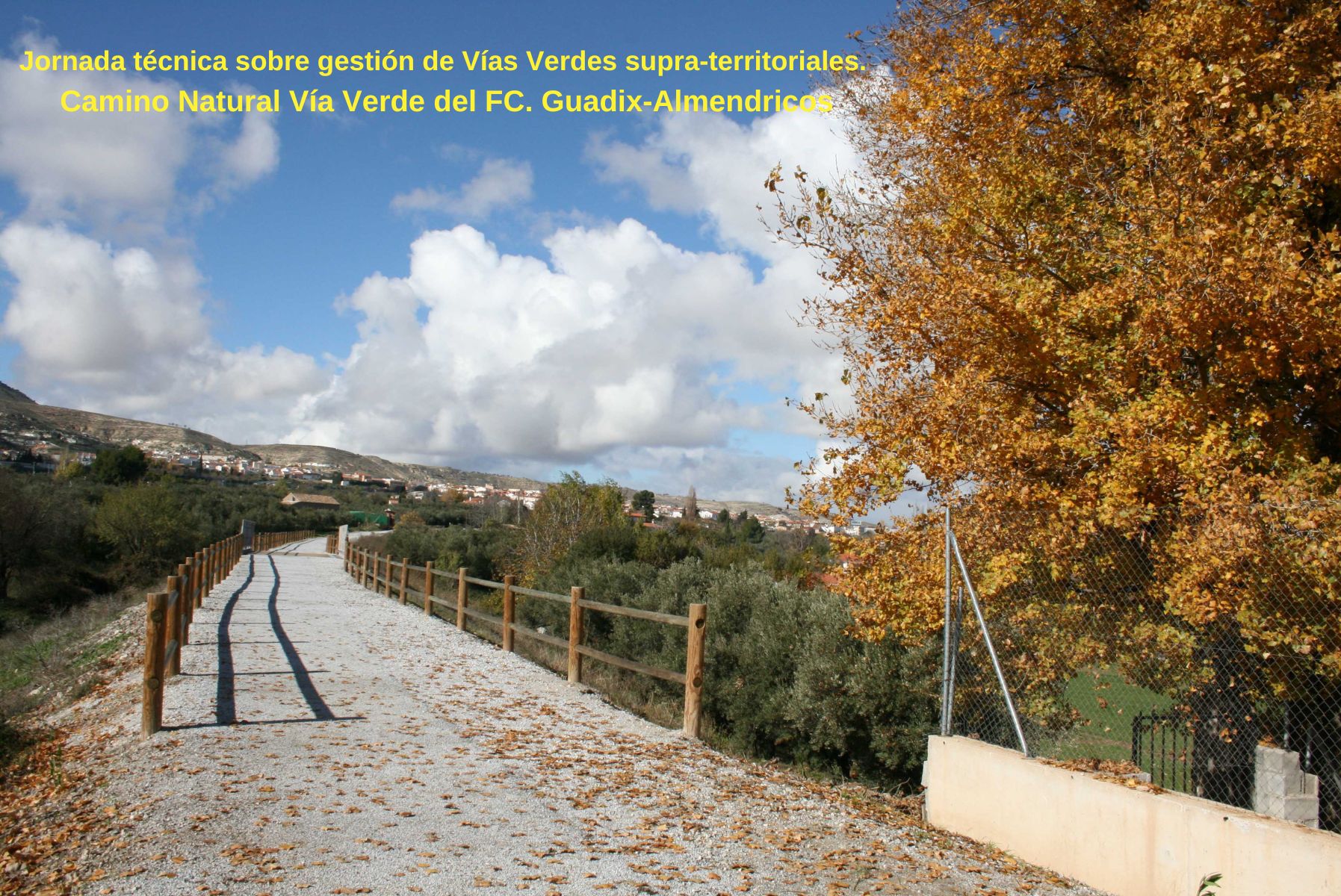 PROGRAMA. Jornada tcnica sobre gestin de Vas Verdes supra-territoriales. Camino Natural Va Verde del FC. Guadix-Almendricos